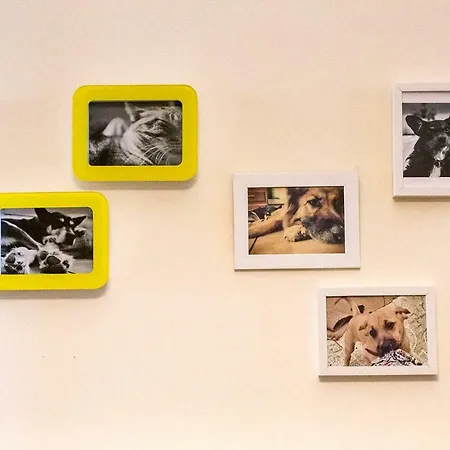 Daire Downtown Shelter - Casa Da Praca