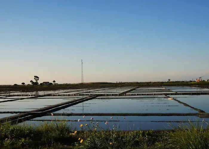 Downtown Shelter - Casa Da Praca * Aveiro