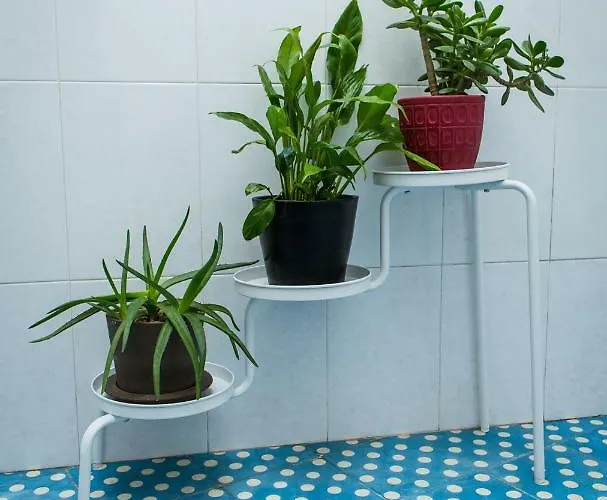 Downtown Shelter - Casa Da Praca