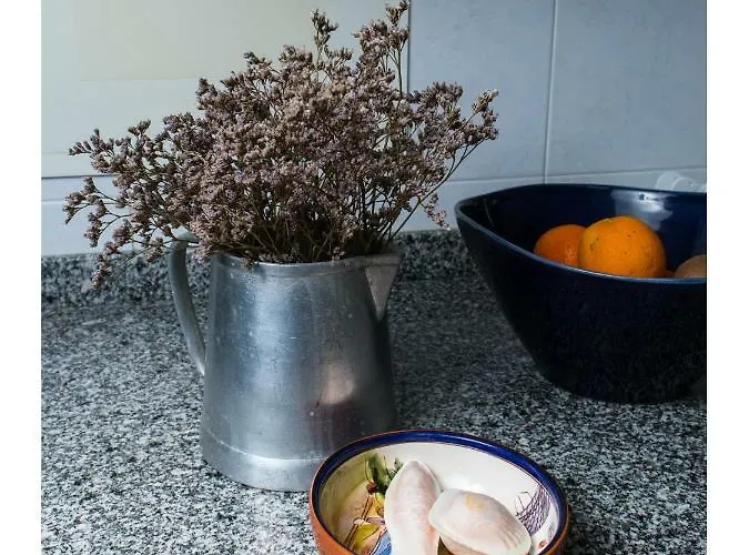 Downtown Shelter - Casa Da Praca Apartment *