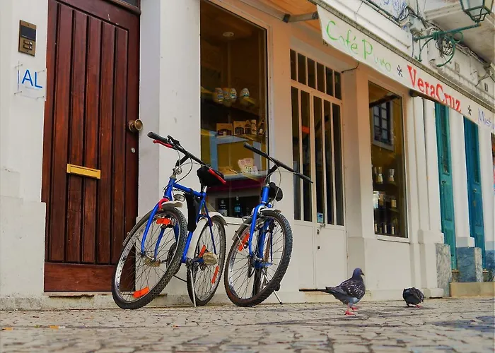 Apartment Downtown Shelter - Casa Da Praca