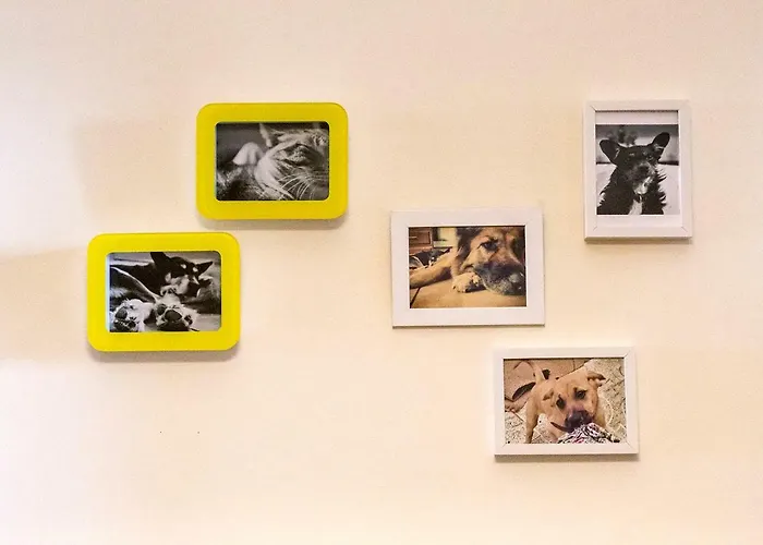 Apartment Downtown Shelter - Casa Da Praca